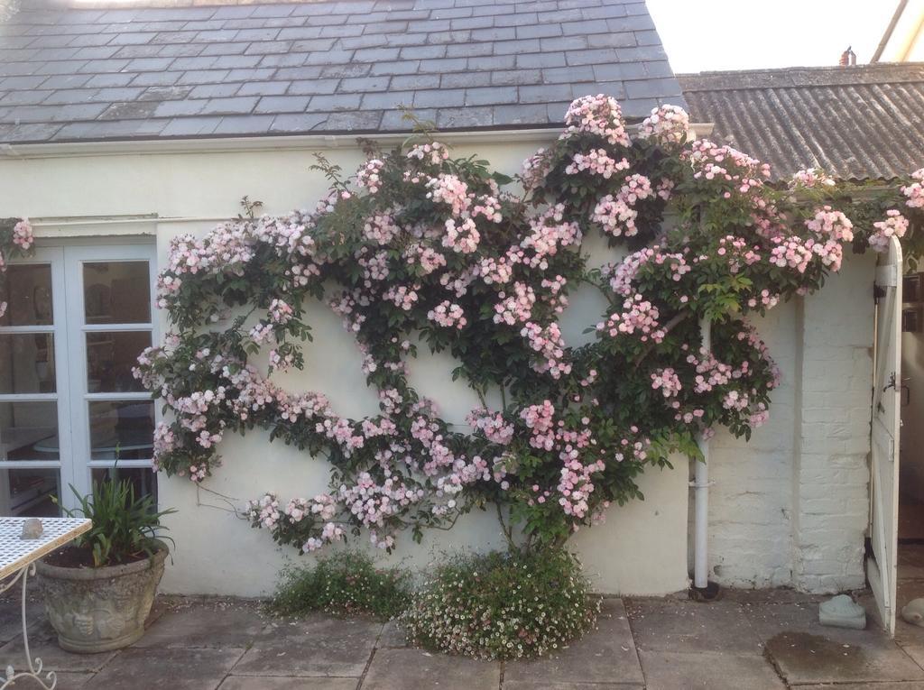 Newton Cottage Porthcawl Bagian luar foto